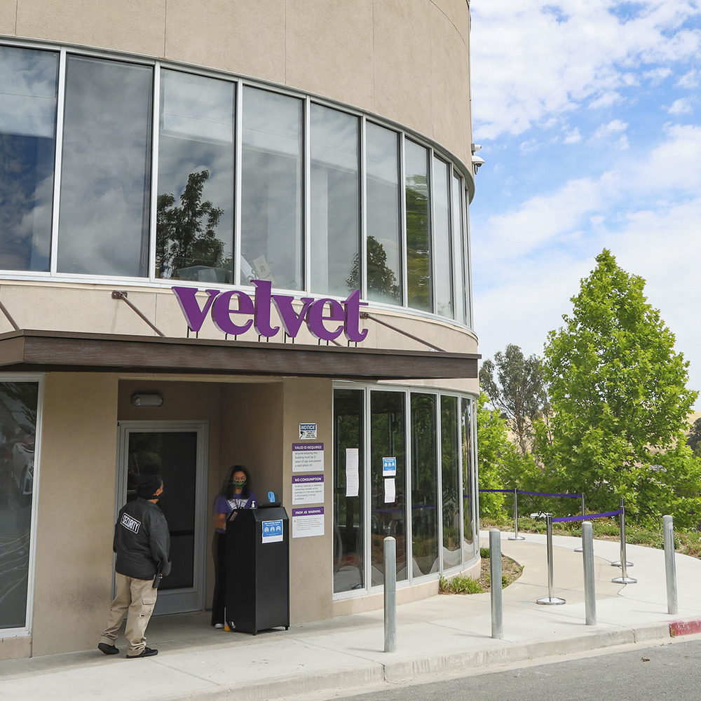 Velvet Cannabis Weed Dispensary Martinez