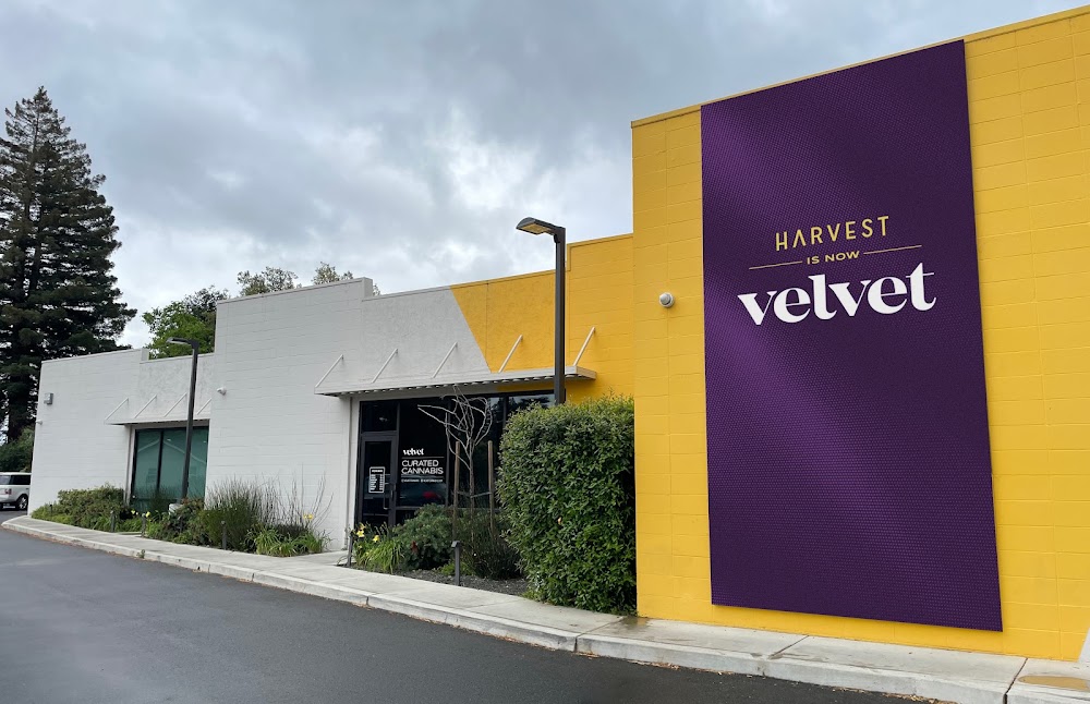 Velvet Cannabis Weed Dispensary Napa